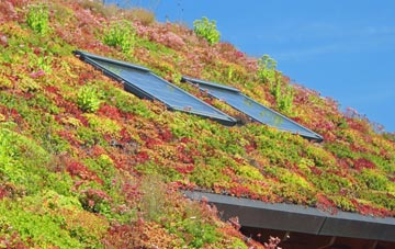 Trelech living roof systems